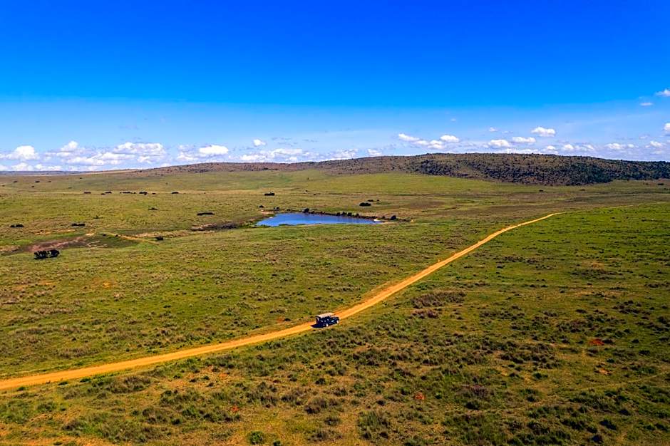 Sediba Luxury Safari Lodge