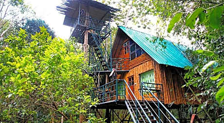 Khaosok Treehouse Resort