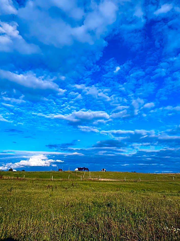 Projekt Stajnia - Nadmorski Ośrodek Jazdy Konnej - noclegi
