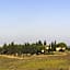 Il Poggio B&B