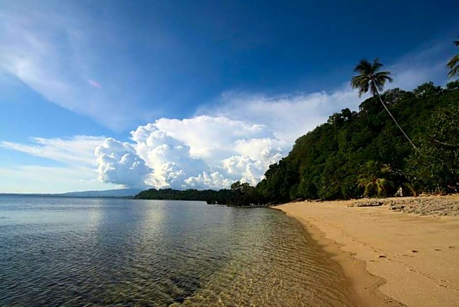 Kookoo's nest eco-lodge