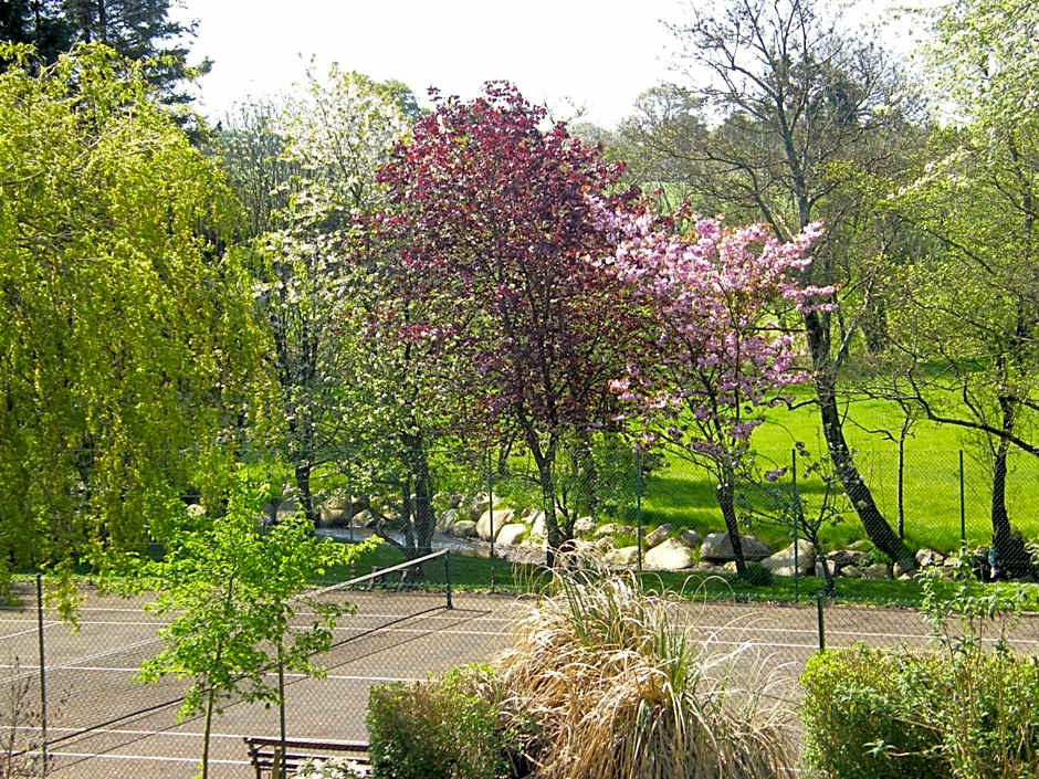 Riverfield Bed and Breakfast