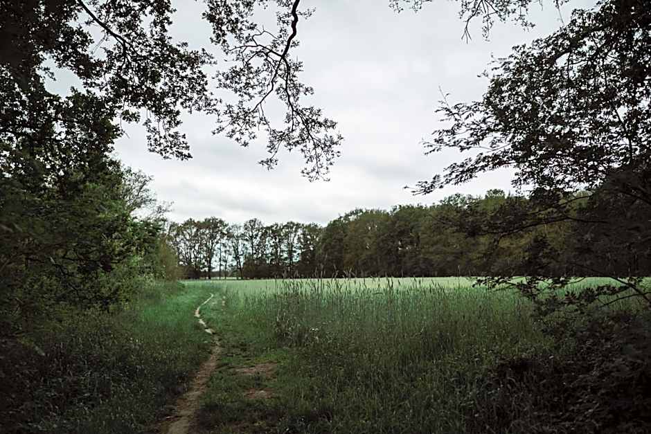Châteauhotel De Havixhorst