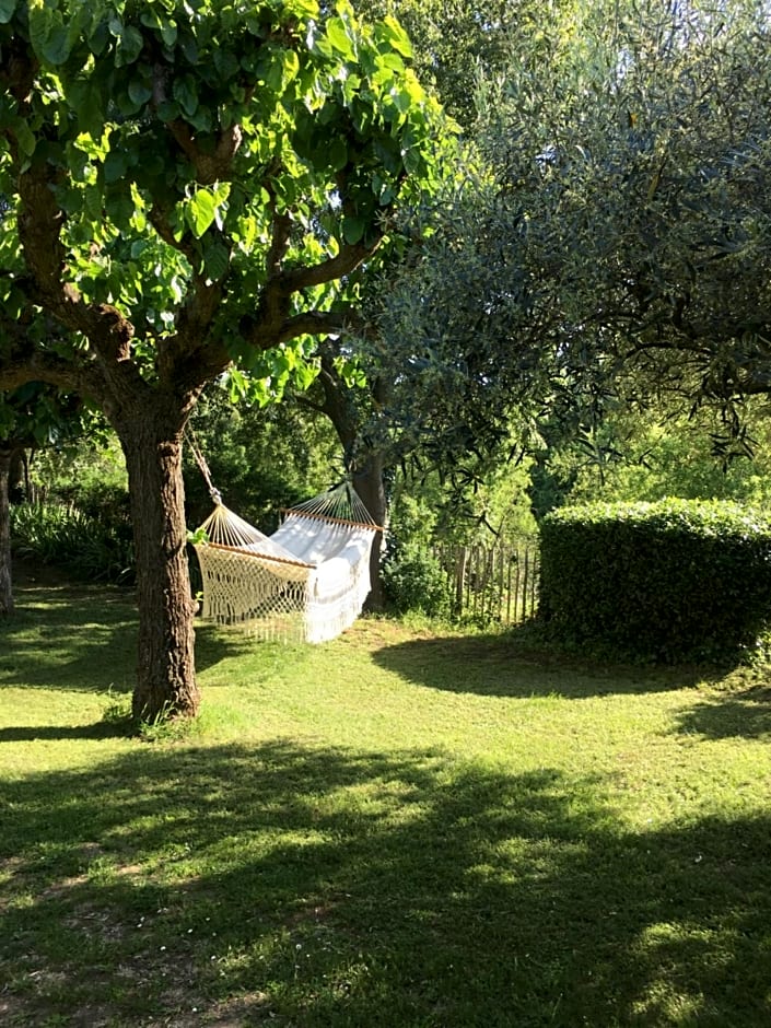 La maison des Olivettes