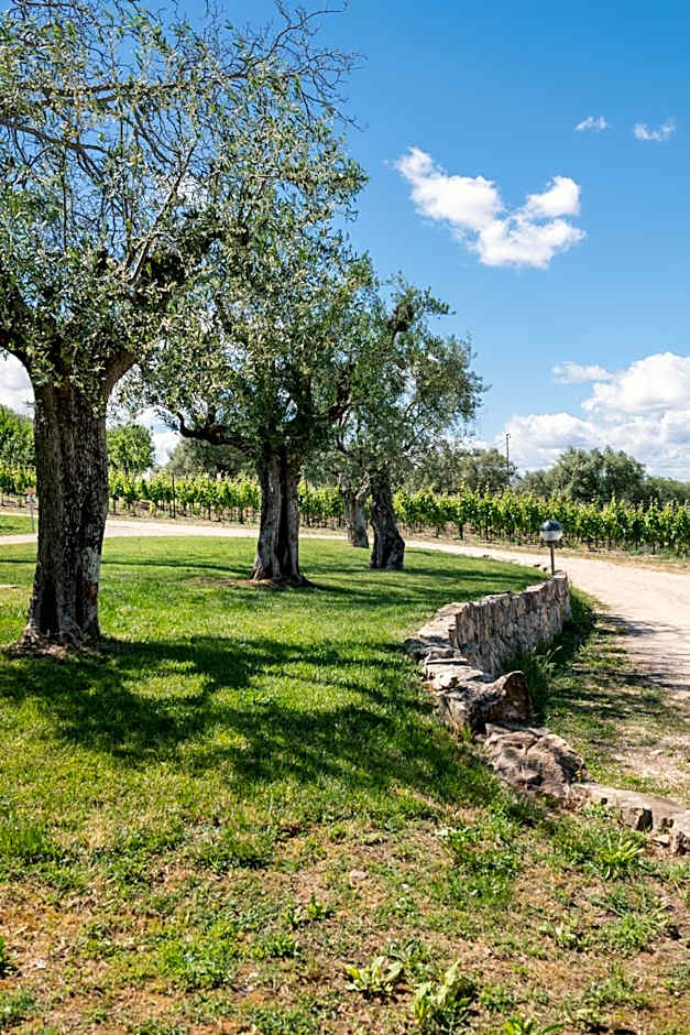 Agriturismo Le Masciare