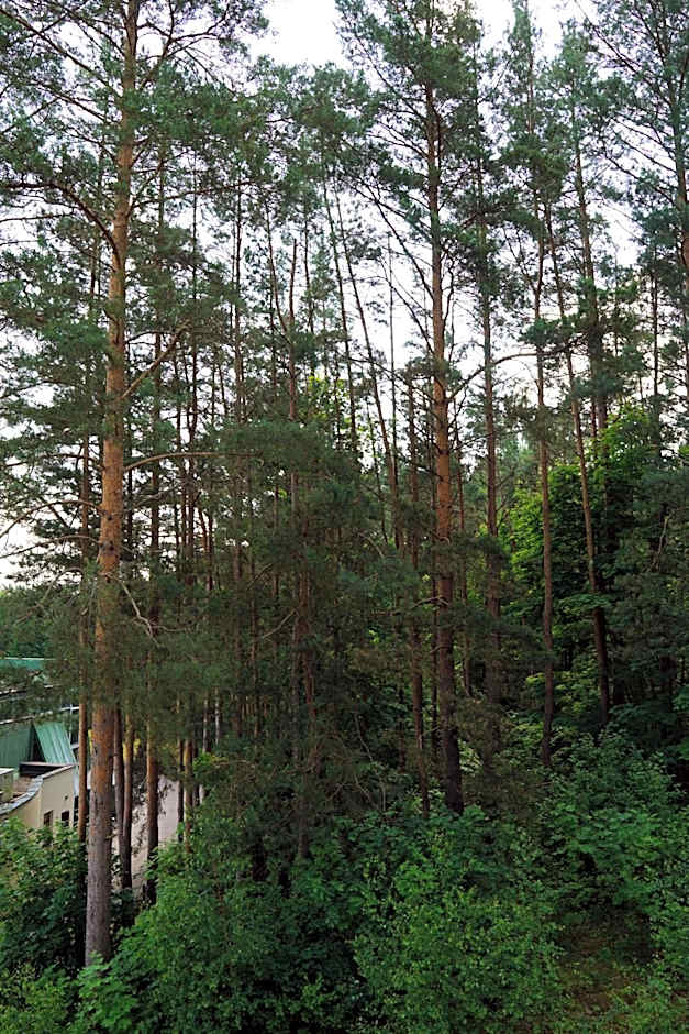 Nykščio Namai & SPA