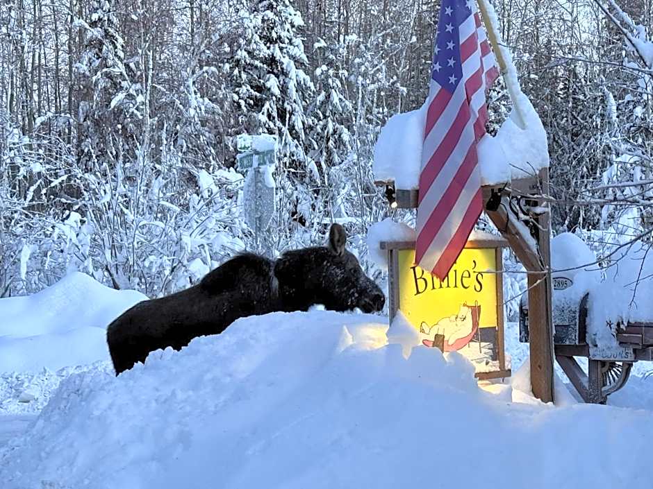 Billie's Backpackers Hostel