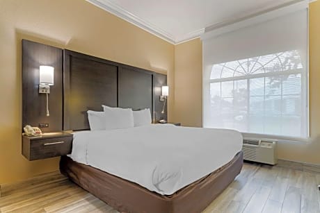 1 King Bed, Suite, Nonsmoking, Accessible Free Breakfast