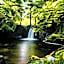 Wester Auchraw Croft B&B