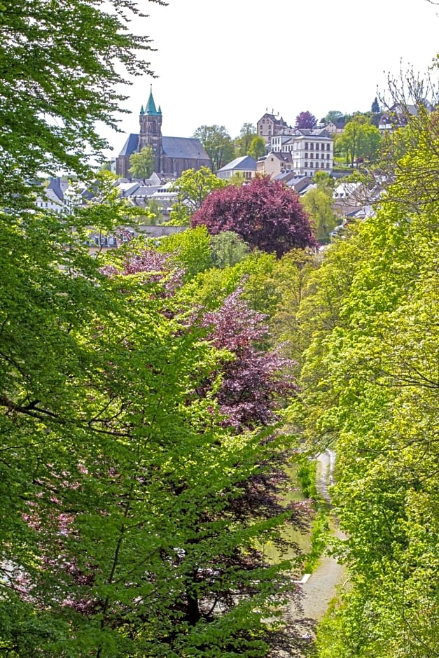 Parkhotel Waldschlösschen