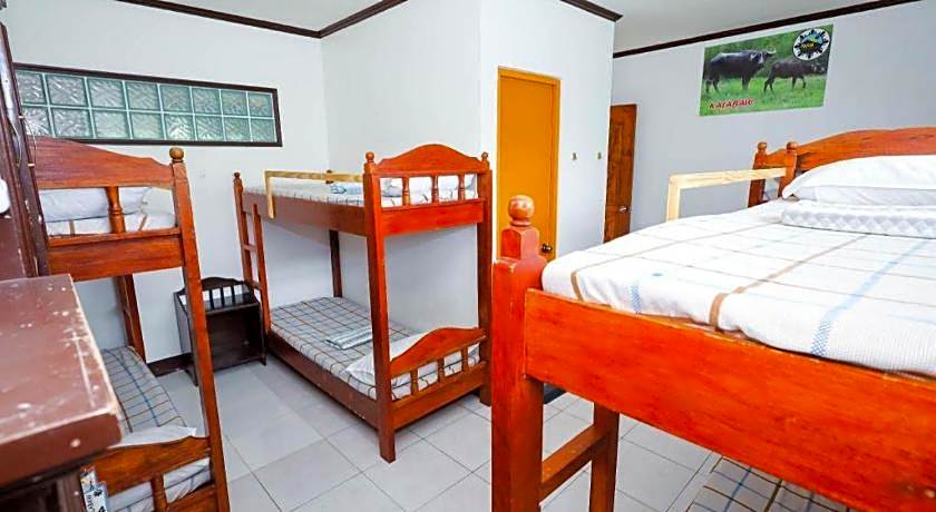 Mayon Backpackers Hostel