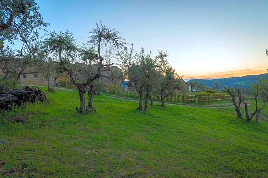 La Rimbecca Greve in Chianti