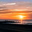 Bluebird Dennisport