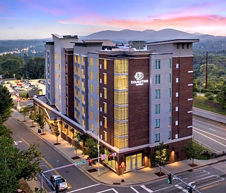 DoubleTree by Hilton Asheville Downtown