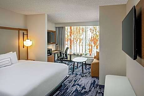 King Suite, Suite, 1 King, Non-Private Sofa bed