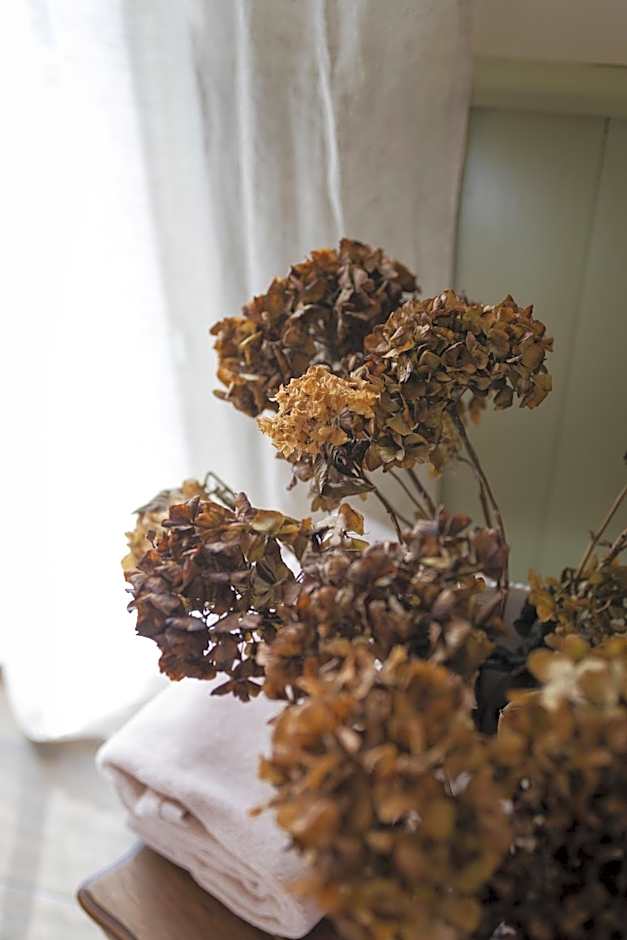 Le Jardin, chambres d'hôtes en Baie de Somme