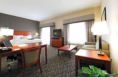 1 King One Bedroom Suite Nonsmoking