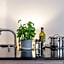 Appartements an der Therme
