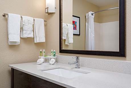 2 Queen Beds Standard