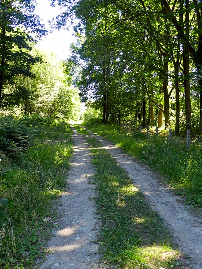 B&B Le Bois de Champia
