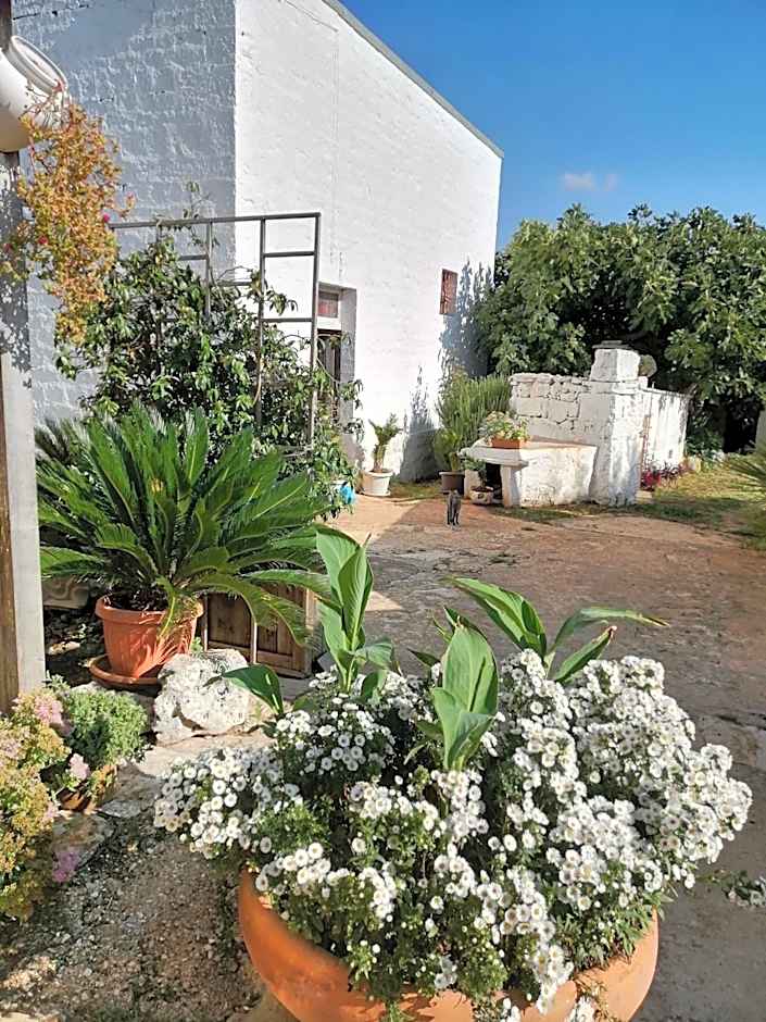 Trulli la casa di Rosa