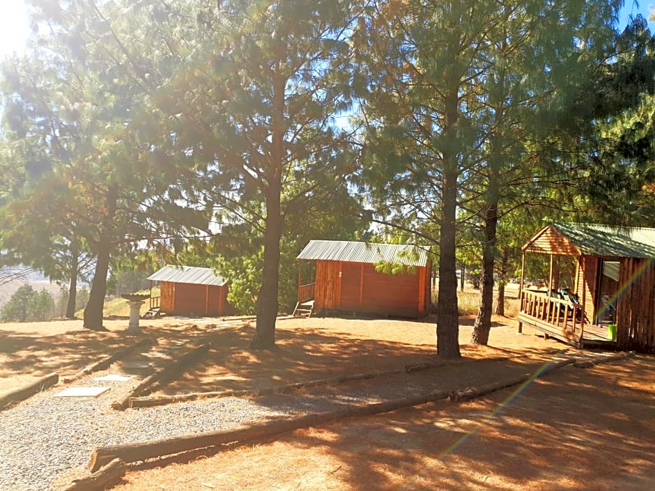 Dargle Forest Lodge