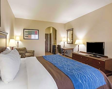 1 King Bed, Nonsmoking