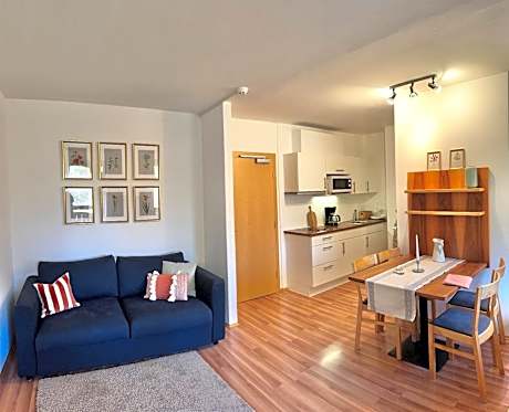 One-Bedroom Apartment with View