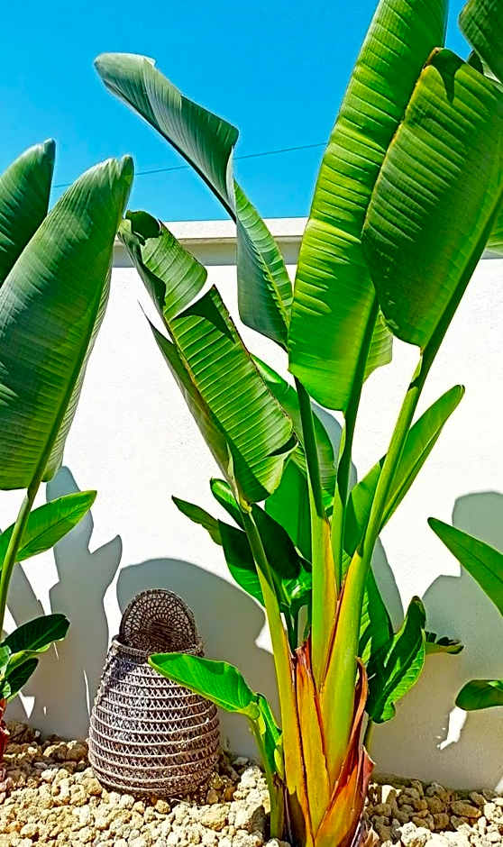 B&B Suites Via del Mare