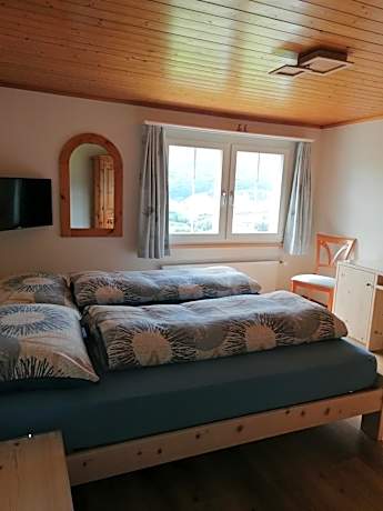 Double or Twin Room with Mountain View