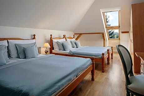 Attic Room