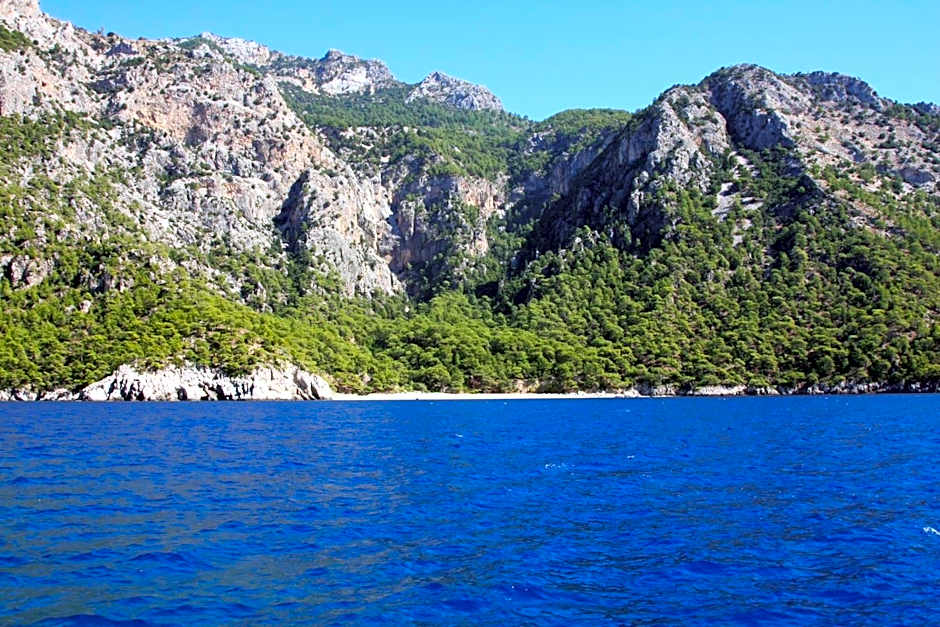 Kabak Avalon Bungalows