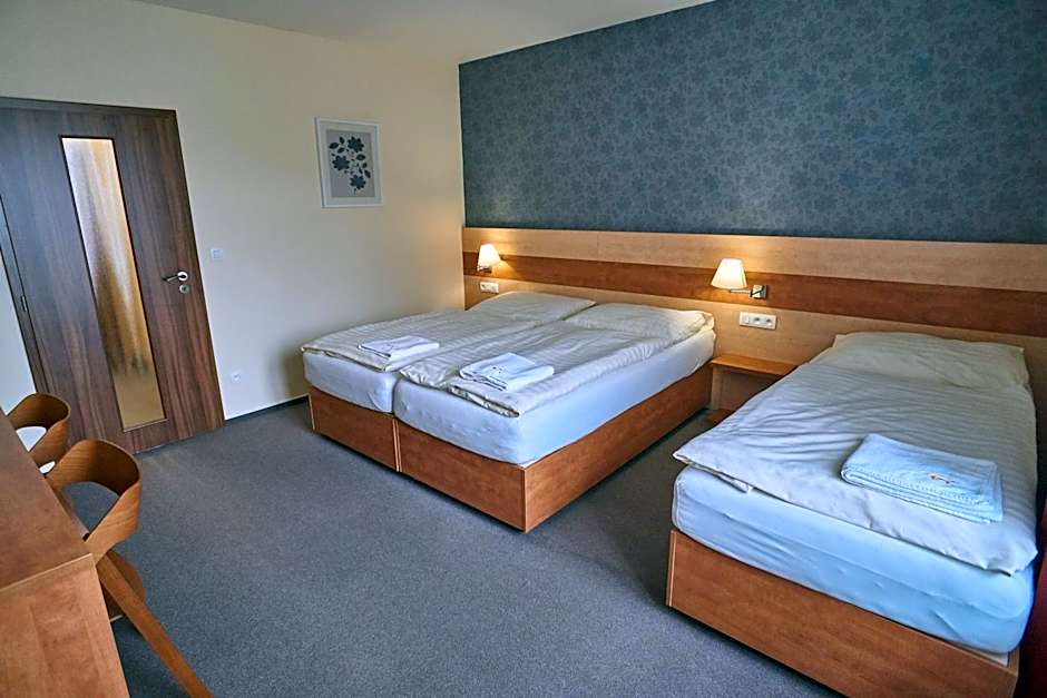 Hotel Toč