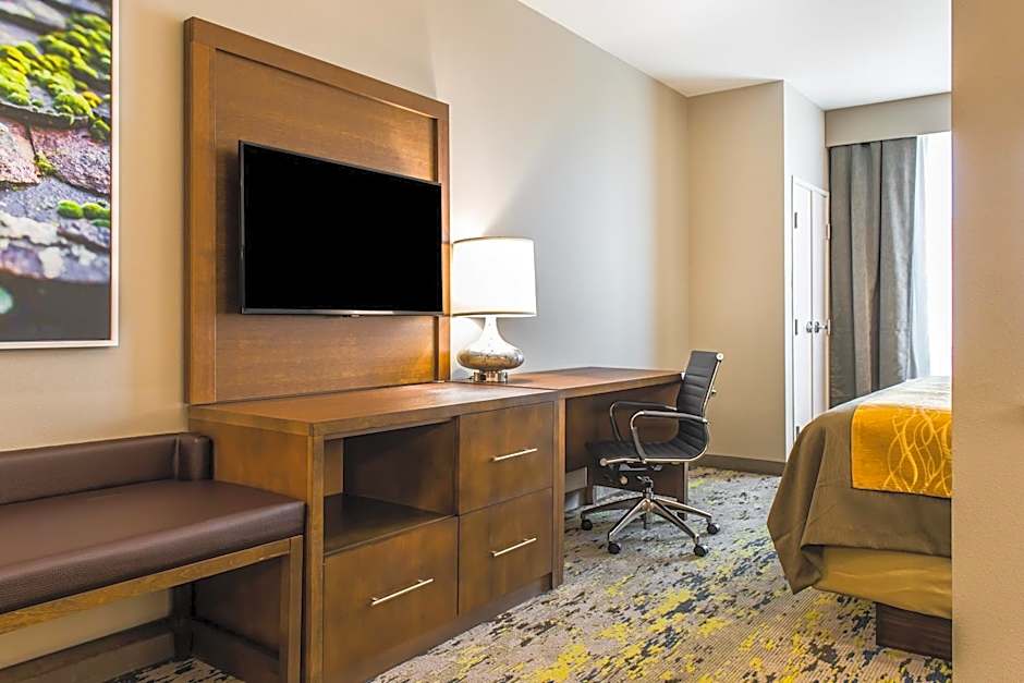 Comfort Inn & Suites Valdosta I-75