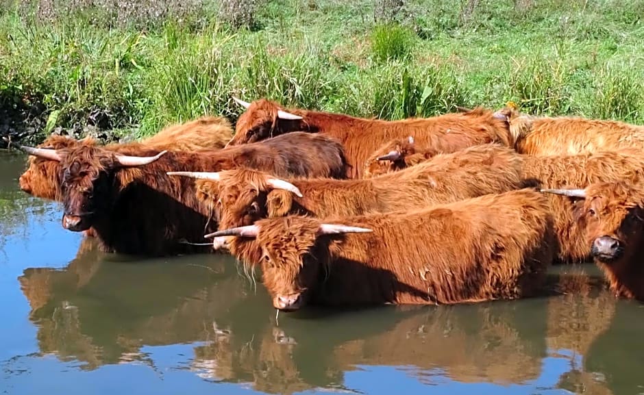 De Oude Stoffeerderij