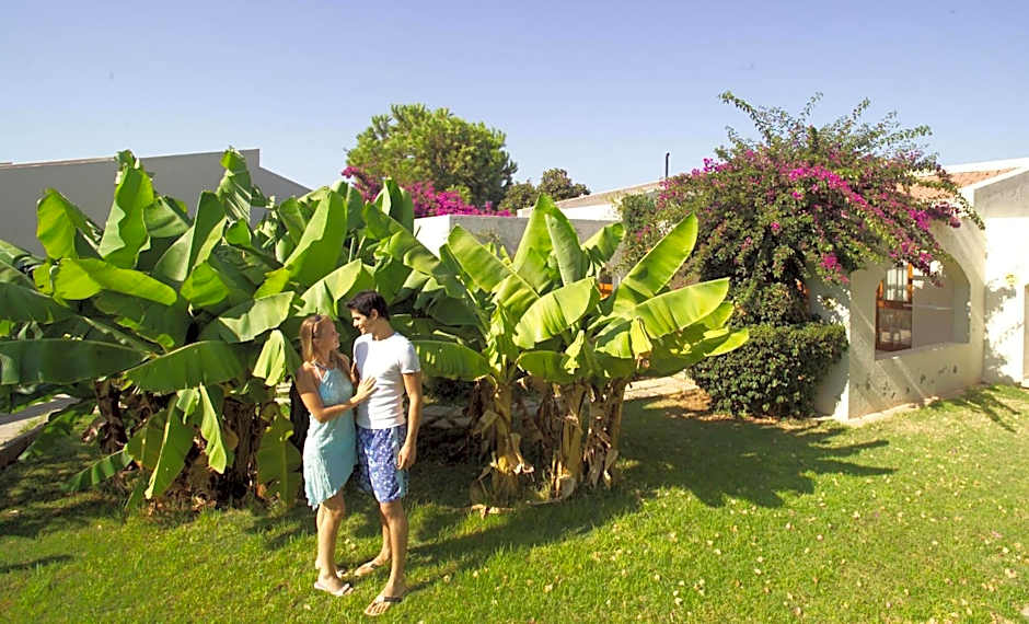 The Olive Tree Hotel