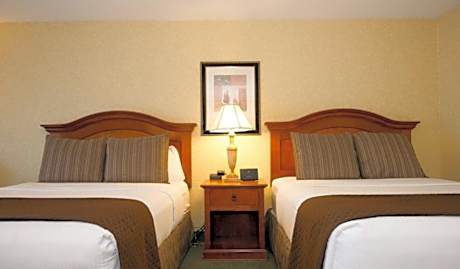 Economy Two Queen Room