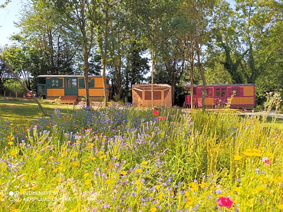 Le camp du fauconnier