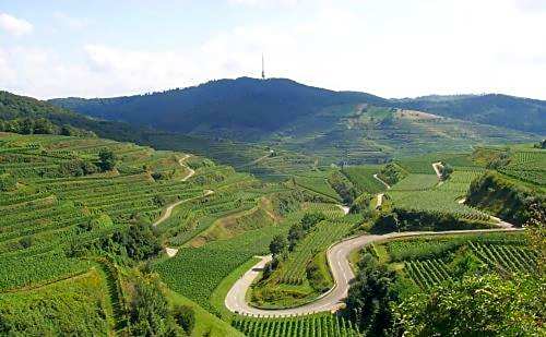 Landgasthof zum Lamm