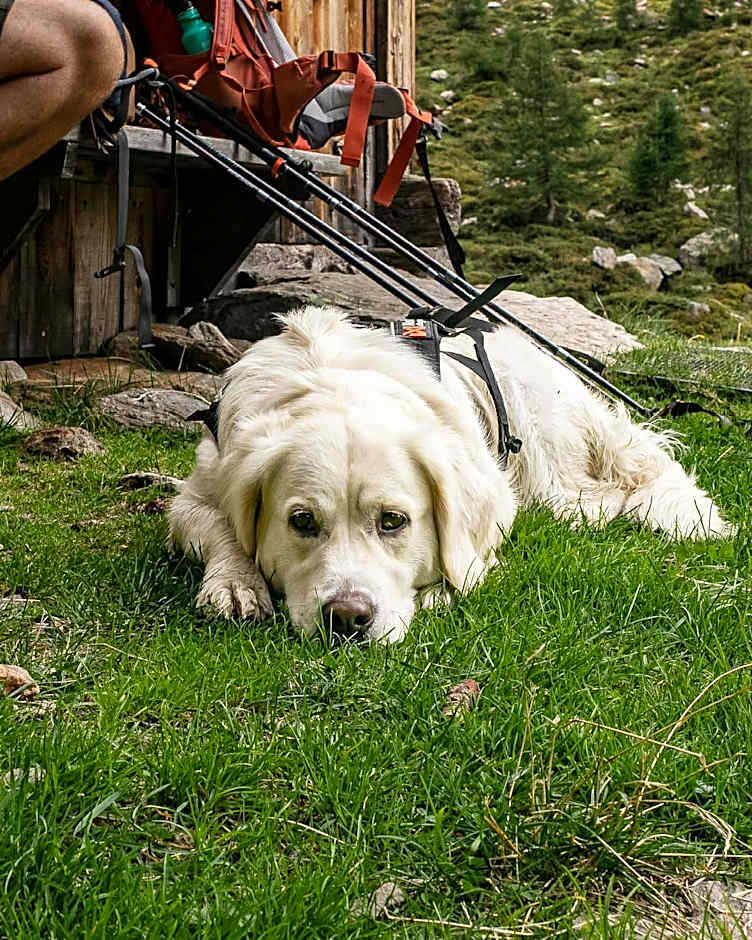 Alpine Collection Wildschönau