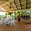 Cedia at Byron Bay Hinterland