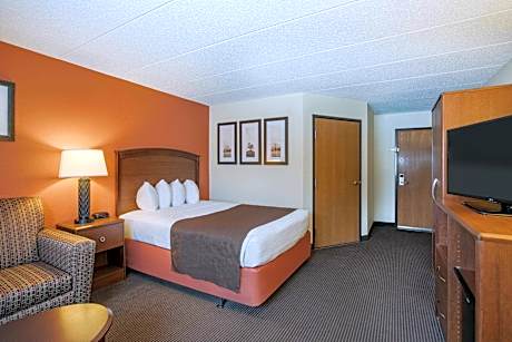 One-Bedroom King Suite - Non-Smoking