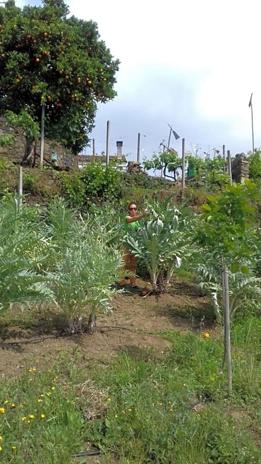 Quinta Quatro Ventos