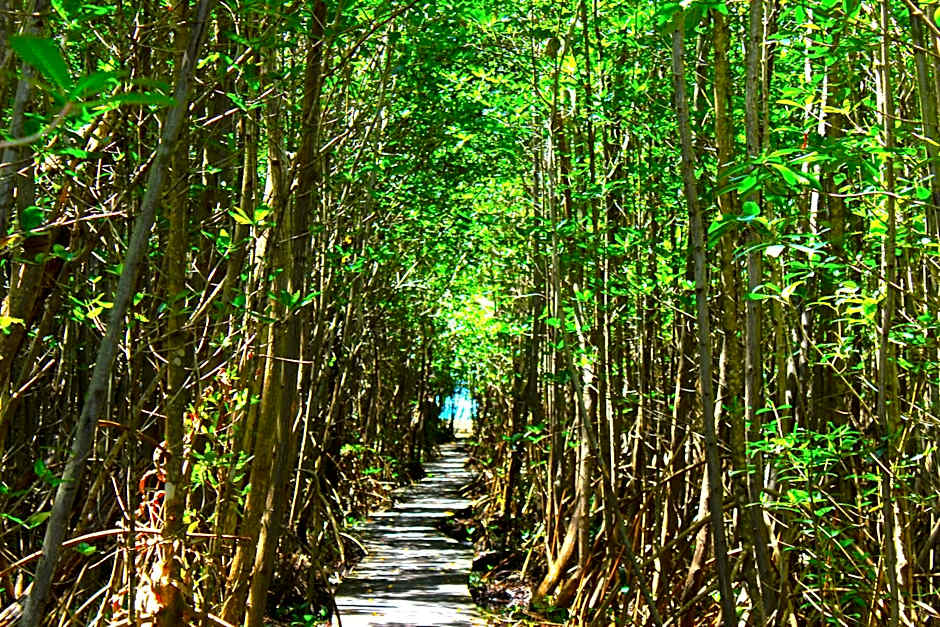 Residence Les Cayalines