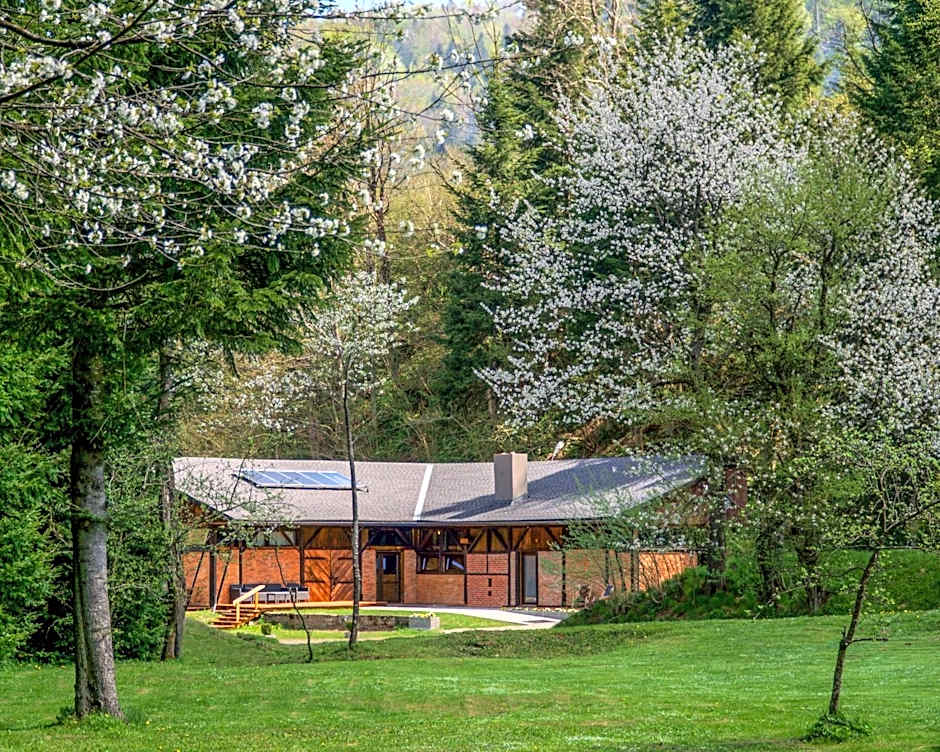 Novosiele Lifestyle Apartments - nad górską rzeką - Strefa relaksu sauna jacuzzi - Bieszczady