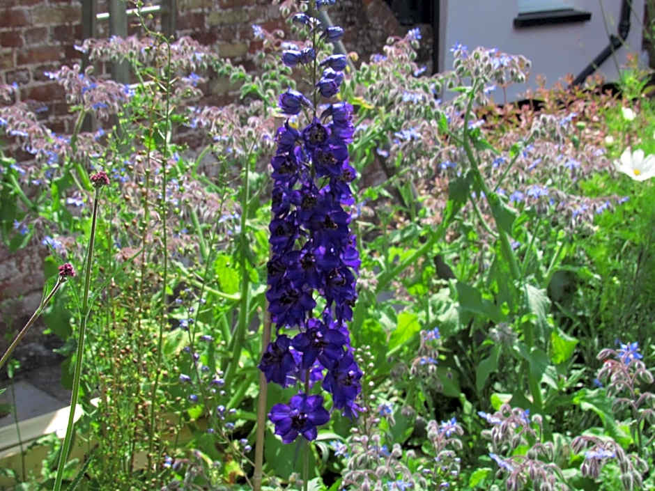 The Old Vicarage Hotel & Restaurant