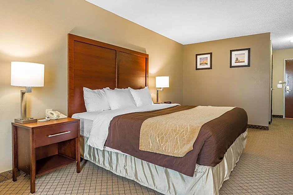 Comfort Inn & Suites South Bend