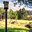 Box Canyon Lodge and Hot Springs