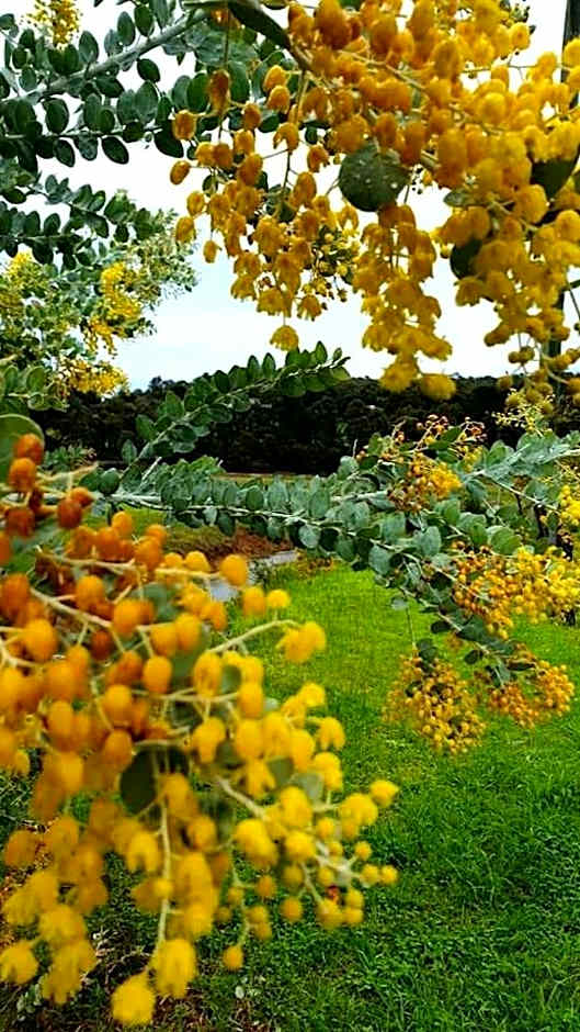 Blackwood Valley Suites