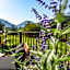 Logis Hotel Xoko-Goxoa